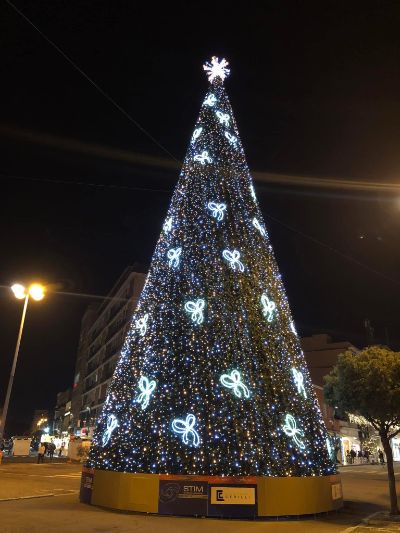 albero natale